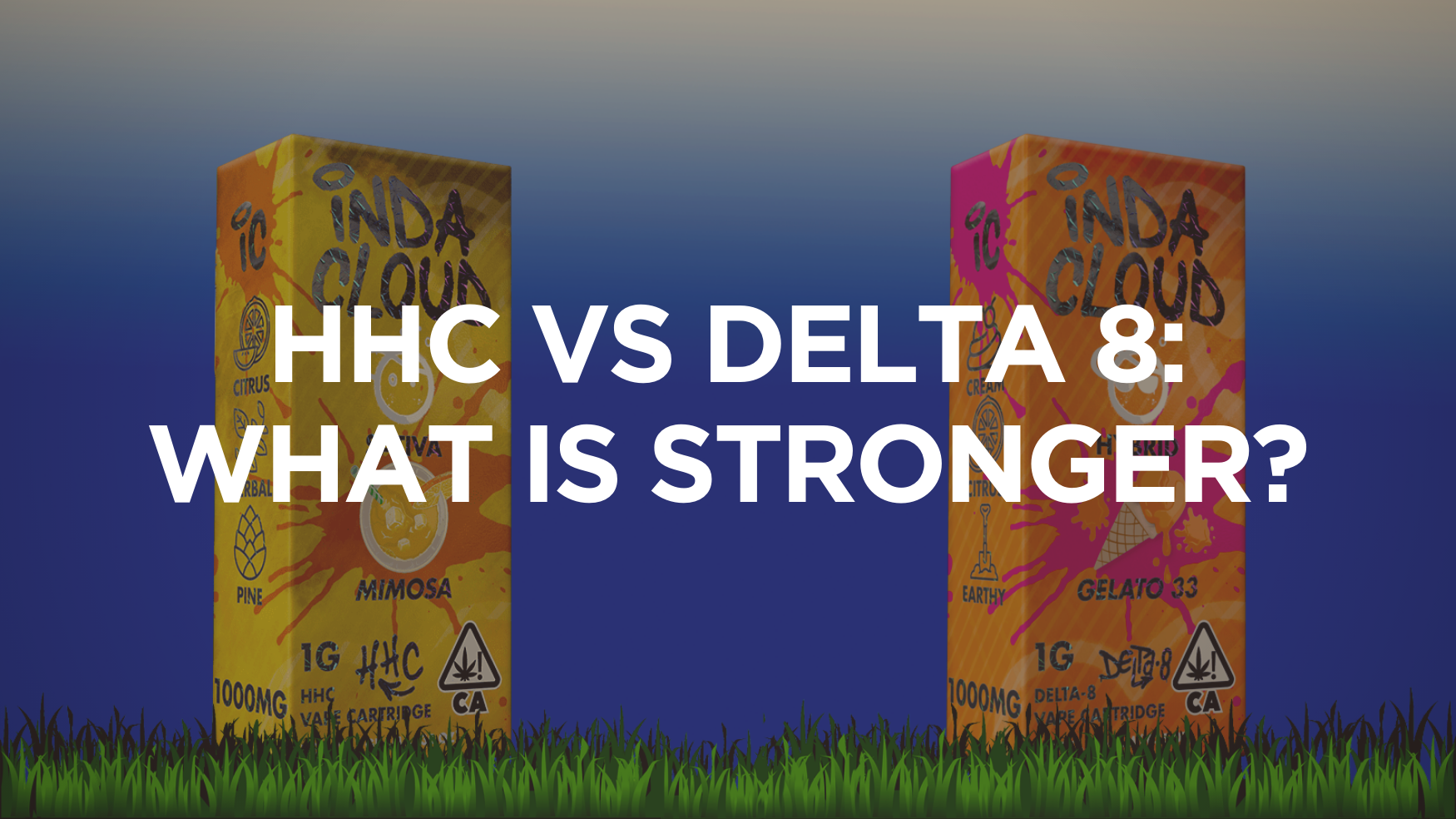 Hhc Vs Delta 8: What Is Stronger 5 Hhc Vs Delta 8 What Is Stronger