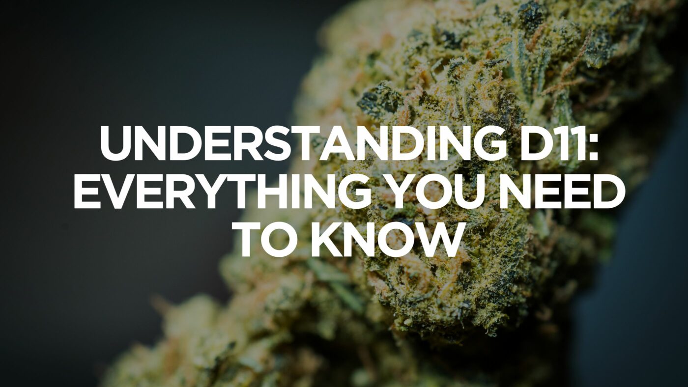 Understanding D11: Everything You Need To Know Now 1 What Is A Delta 9 Thc High Like