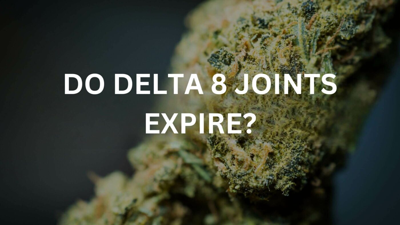 Do Delta 8 Joints Expire? 6 Delta 8 Joints