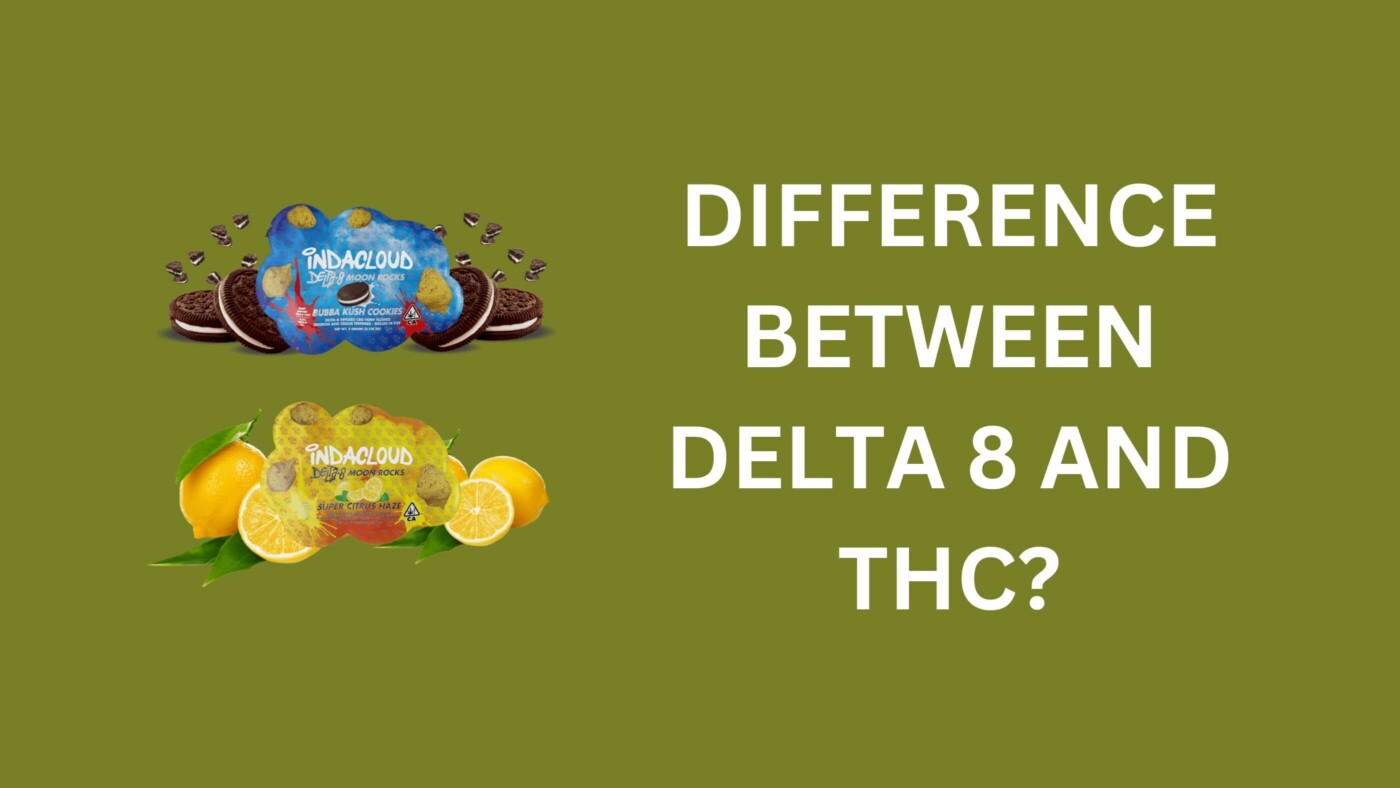 What Is The Difference Between Delta 8 And Thc? 1 Delta 8 Vs Thc