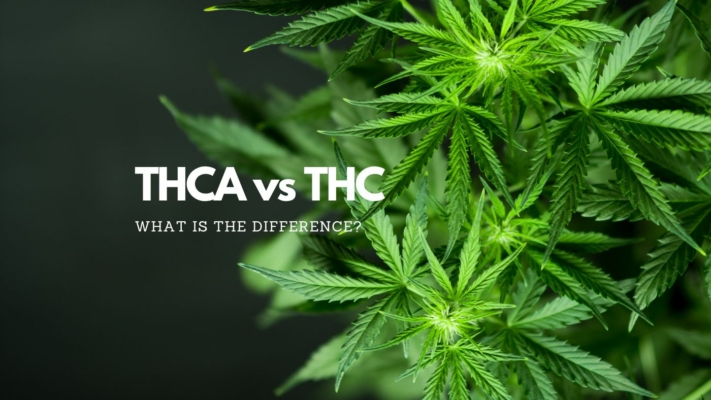 THCA vs THC differences