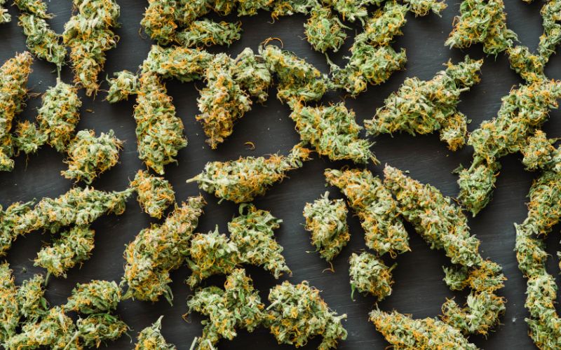 Thca Vs Delta 9: The Difference In These 2 Cannabis Cannabinoids 2 Delta 9 Flower