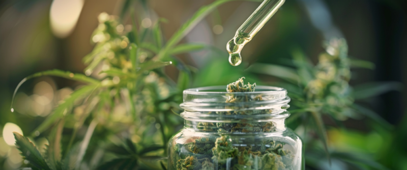 Has Anyone Lost Weight with THCv