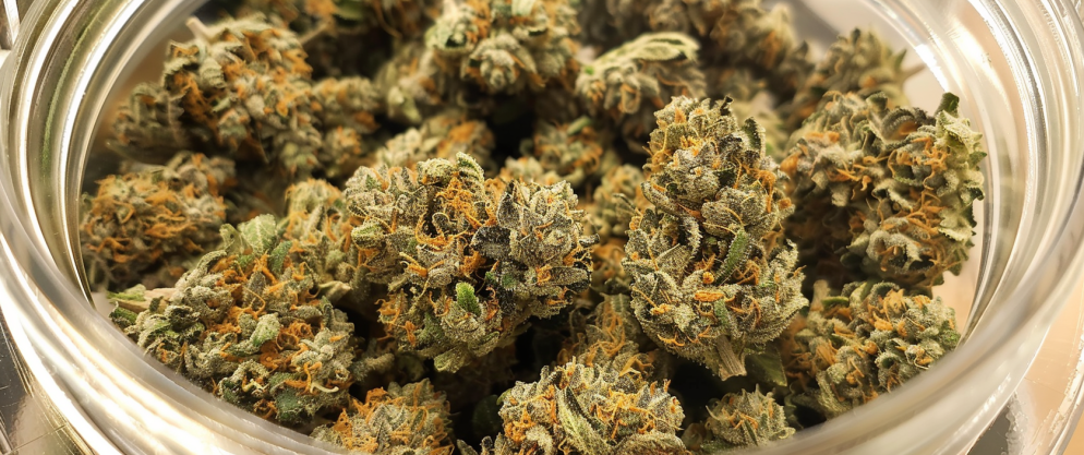 How Long Does Delta 8 Last in Urine