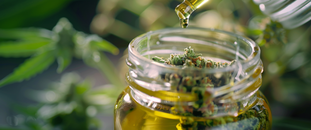 What Is Thcv Used For? Understanding Thcv Uses And Benefits 1 What Is Thcv Used For