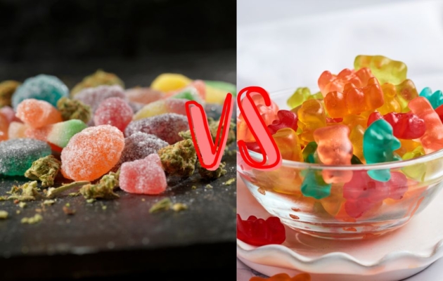 Exploring Thca Gummies 1 Thca Gummies Vs Thc Gummies