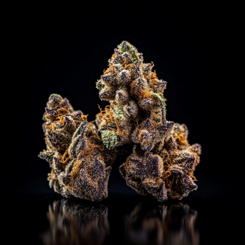 Animal Cookies Strain 5 Animal Cookies Strain