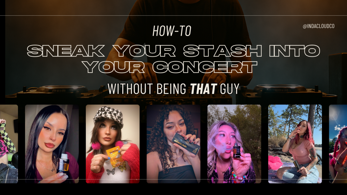 High Notes: The Ultimate Guide To Sneaking Cannabis Into Concerts (Without Being That Guy) 5 Sneak Your Stash Into A Concert