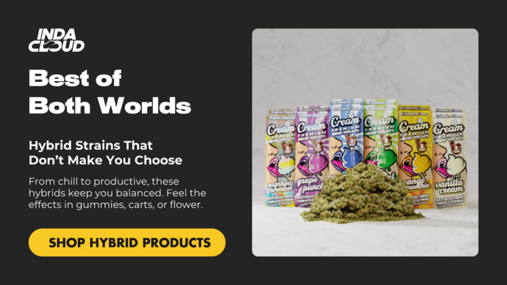 Indacloud Hybrid Strains – Experience Delta 8 Vs. Delta 9 Gummies 