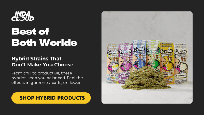 Is Thca Legal In Florida? 2025 Guide To Thca Laws 2 Explore Indacloud Hybrid Strains