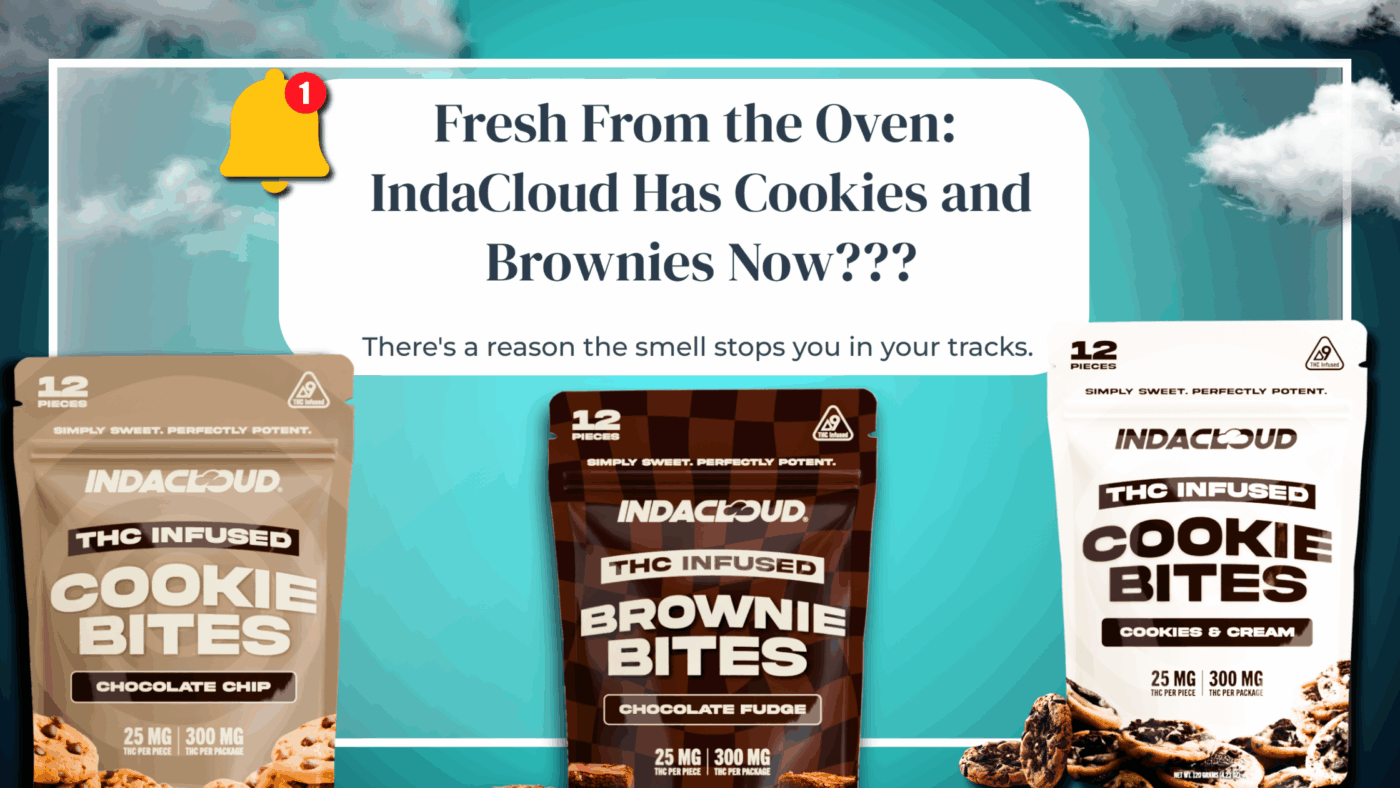 Fresh From The Oven: Indacloud Has Cookies And Brownies Now??? 36 Cookies And Brownies Launch