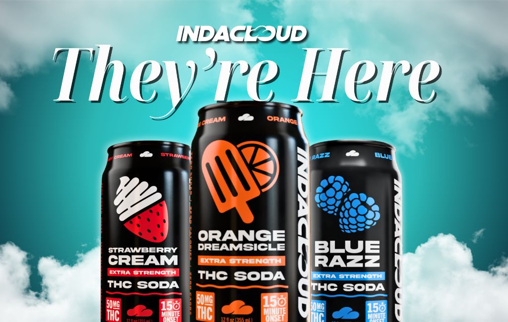 When The Clouds Poured: How 500 Thc Sodas Sold Out Before The Weekend 18 Soda Launching Feature Image